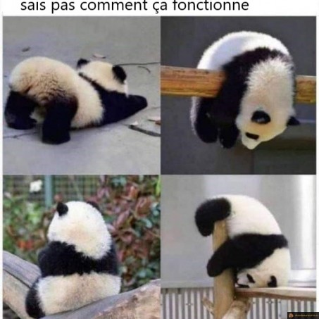 1er jour à la salle de muscu