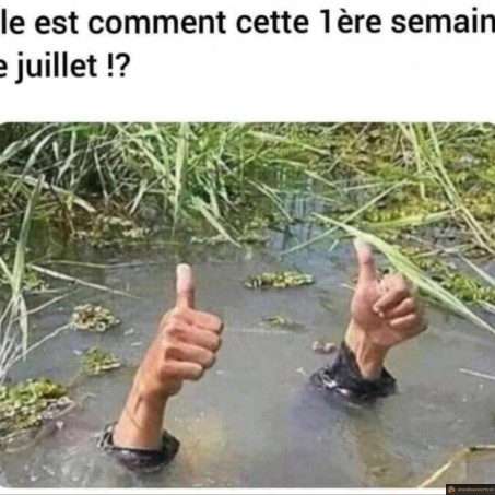 1ere semaine de juillet