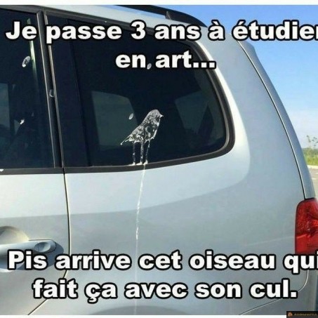3 ans d'études en art alors que...
