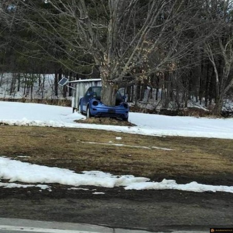 Accident voiture arbre