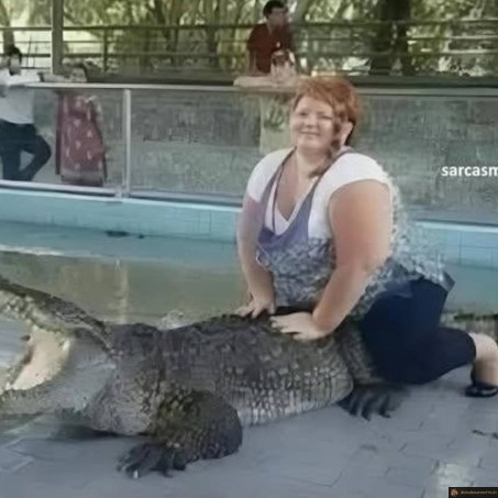 Alligator criant à l'aide
