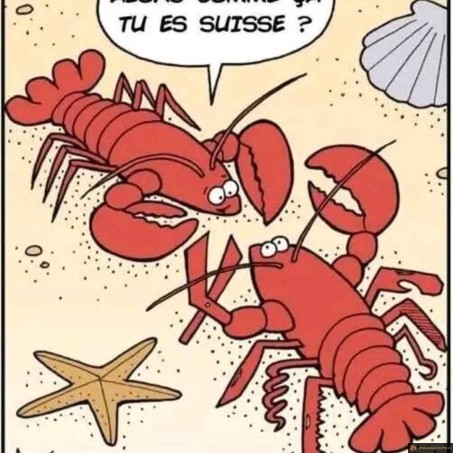 Alors comme ça tu es Suisse?