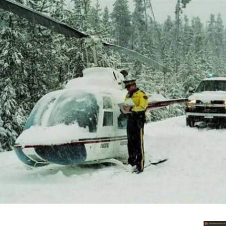 Amende helico