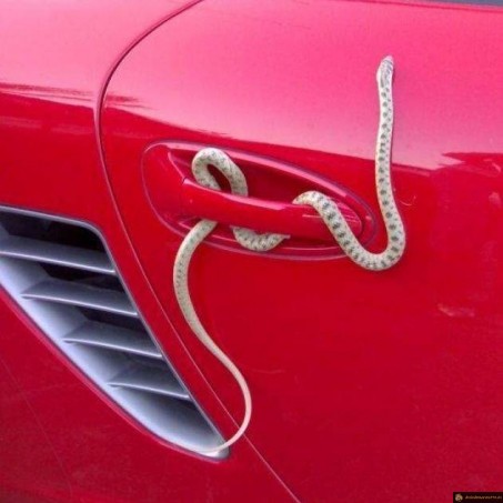 Antivol voiture