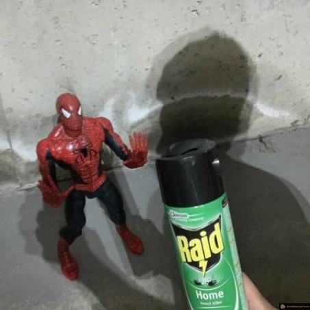 Arme contre Spiderman
