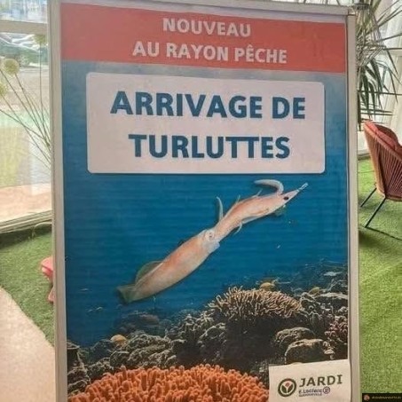 Arrivage de turluttes