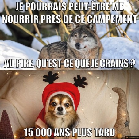 Au pire qu'est-ce que je crains?