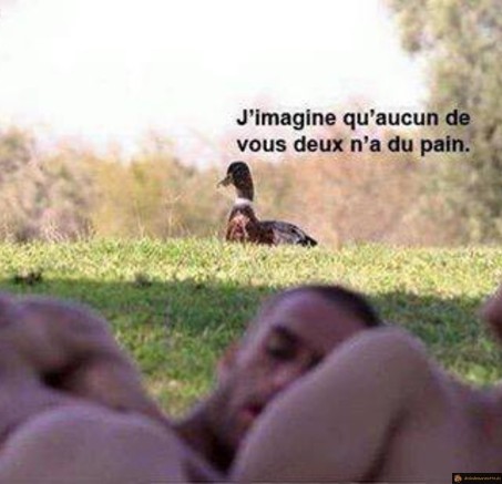 Aucun de vous 2 n'a du pain?