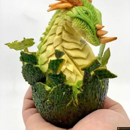 Avocat dragon