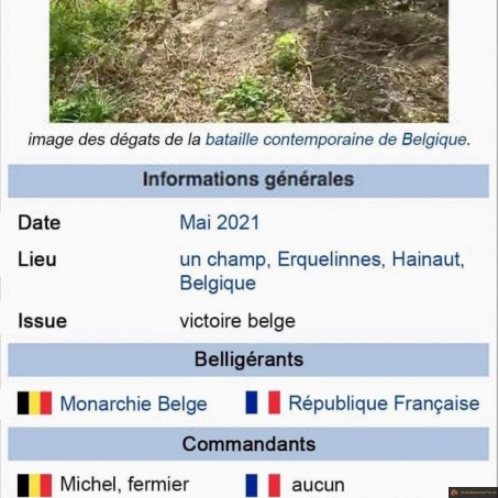 Bataille contemporaine de Belgique