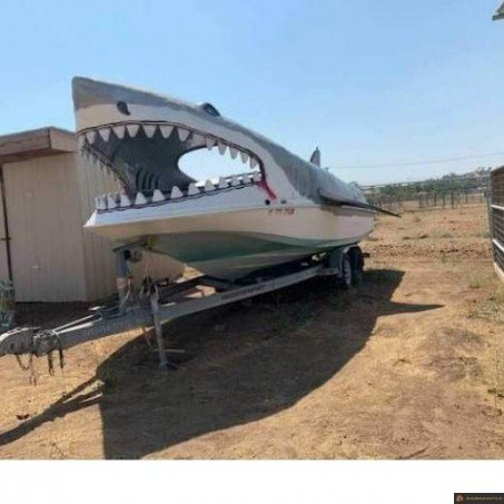Bateau requin