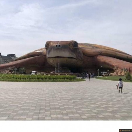 Bâtiment tortue géante
