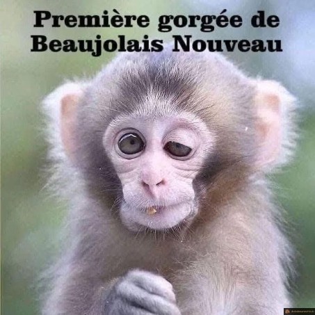 Beaujolais Nouveau