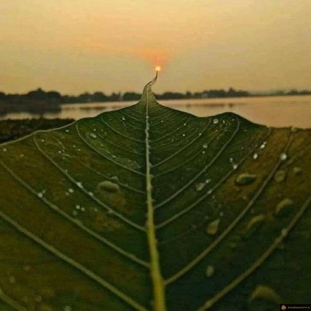 Beauté du coucher de soleil