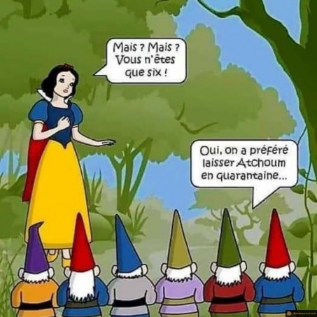 Blanche neige et les 6 nains
