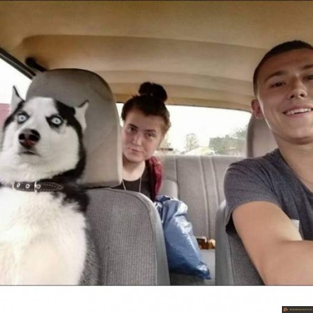 bordel regarde la route