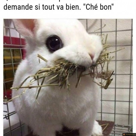 Bouche pleine