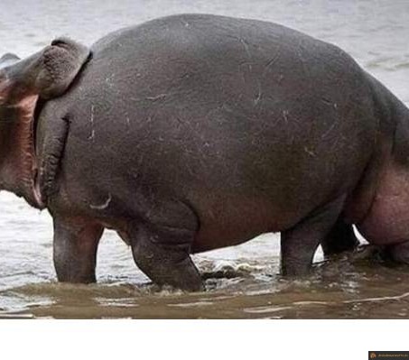 Bouffer les fesses