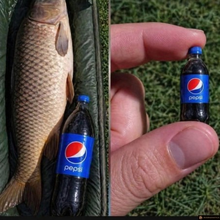 Bouteille pepsi pour pecheur