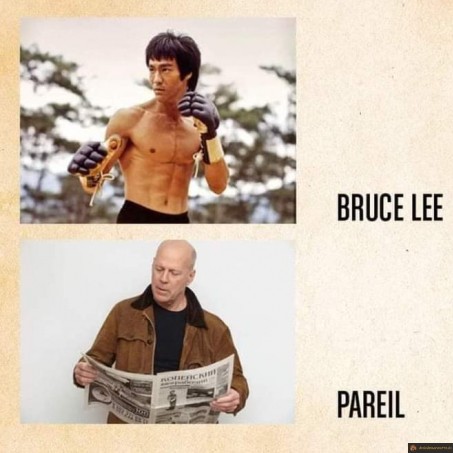 Bruce lee