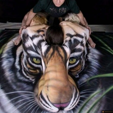 Brune et tigre mouillé