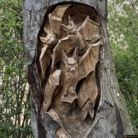 Bucheron chauve souris