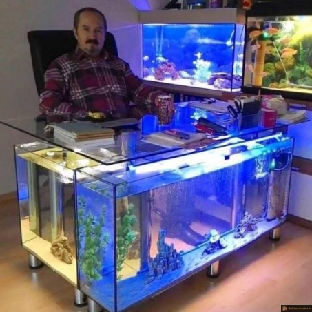 Bureau aquarium