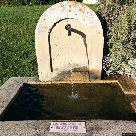 Buvez du vin à la place