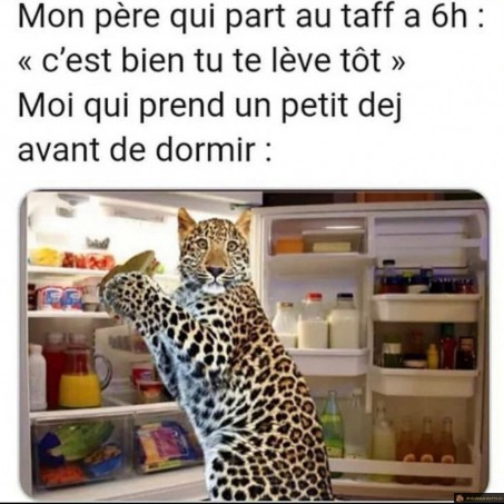 C'est bien tu te lève tôt