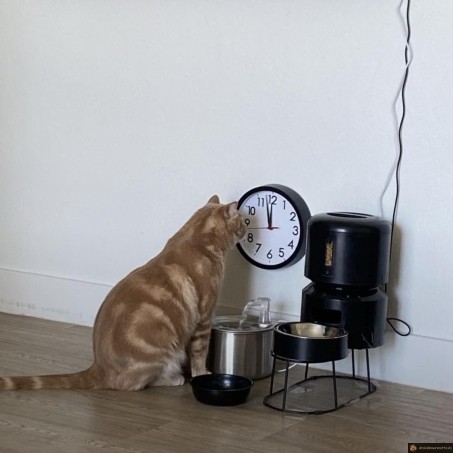 C'est l'heure de manger