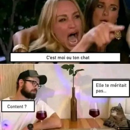 C'est moi ou ton chat