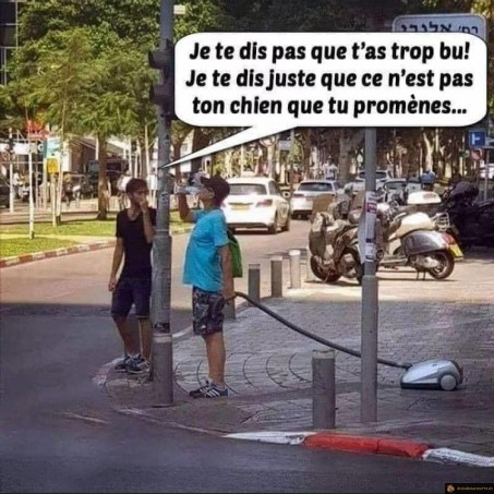 C'est pas le chien que tu promènes