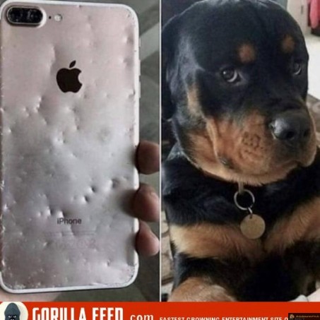 C'est pas moi