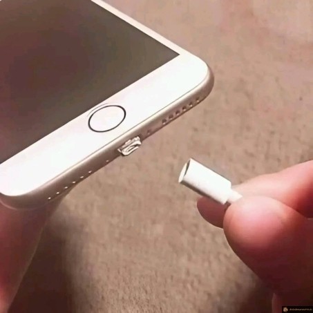 Cable de charge Apple
