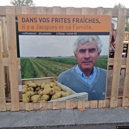 Cachés dans les frites