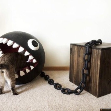 Caisse pour chat Mario