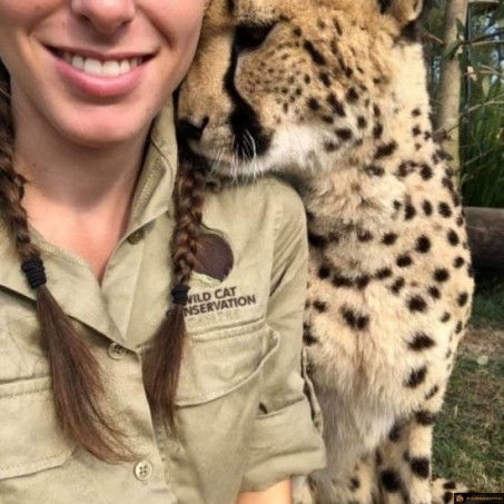 Calin avec un guépard