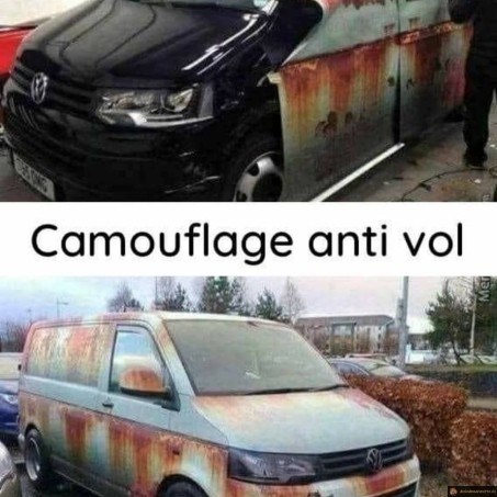 Camouflage antivol pour voiture