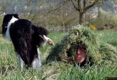Camouflage lvl 100