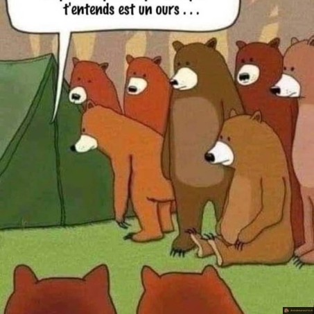Camping bruit ours