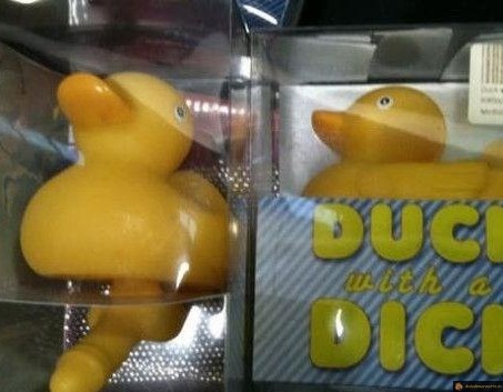 Canard bien monté