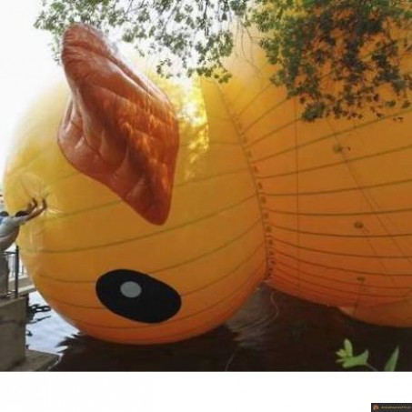 Canard gonflable qui prend de la place