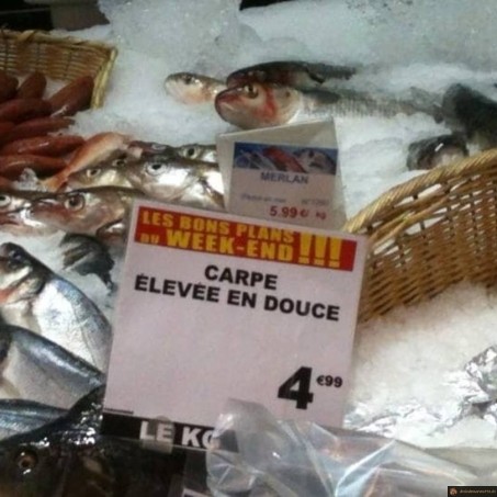 Carpe illégale