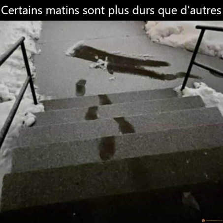 Certains matins sont plus durs que d'autres