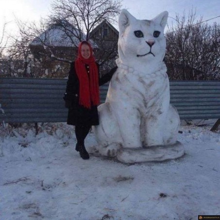 Chat de neige