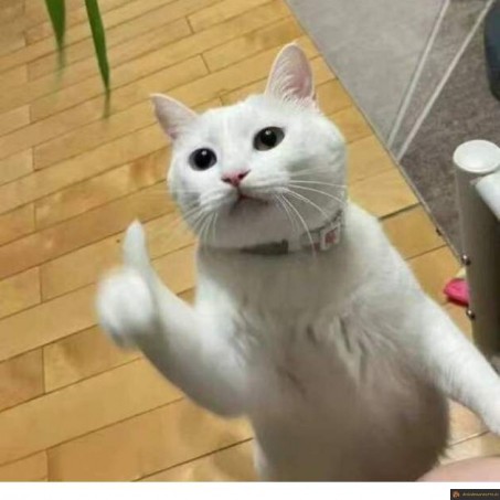 Chat good job