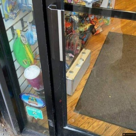 Chat interdit de magasin