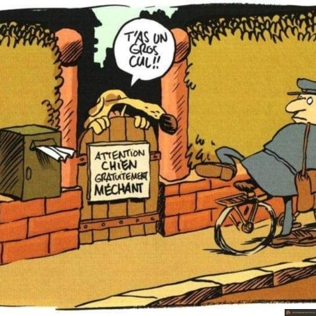 Chien méchant gratuitement
