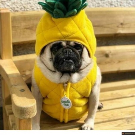 Chienanas