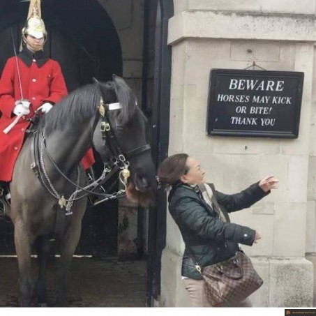 Choppée par le cheval